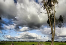 武汉活力无限休闲资源多，探寻特色美食之旅