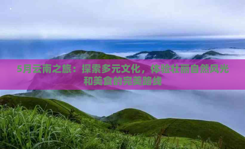 在武汉可以玩什么_武汉哪里可以休闲_休闲武汉可以玩的地方