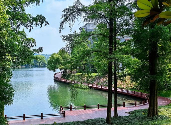 武汉魅力独具，休闲佳选众多，东湖更是赏自然风光首选之地