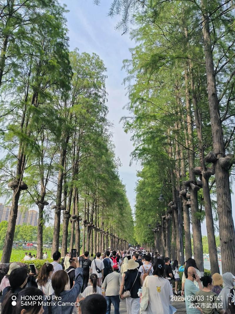 武汉休闲好去处大揭秘！东湖绿道等公园等你来探索