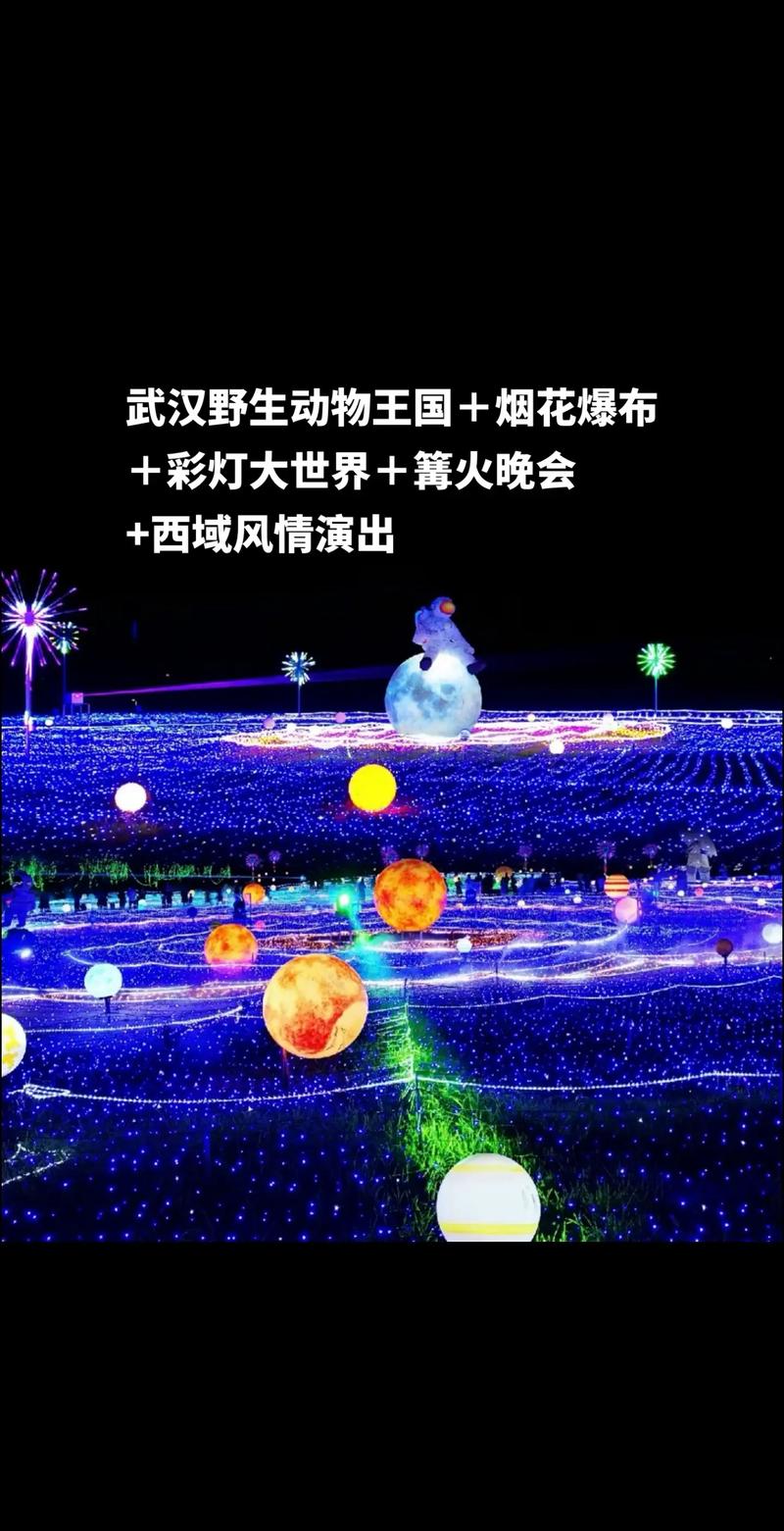 武汉夜网体验_武汉夜网休闲_武汉夜网1