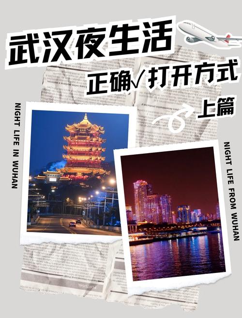 武汉夜网flzj_武汉夜网手机版_武汉夜网指南