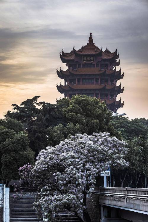 休闲武汉可以去哪里玩_在武汉可以玩什么_武汉哪里可以休闲