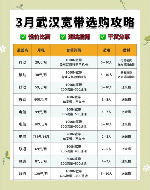 武汉夜网价格全解析：高端与实惠型夜网消费指南